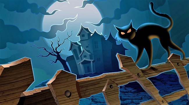 Cat-Night