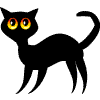 blackcat