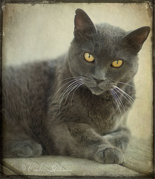 regard