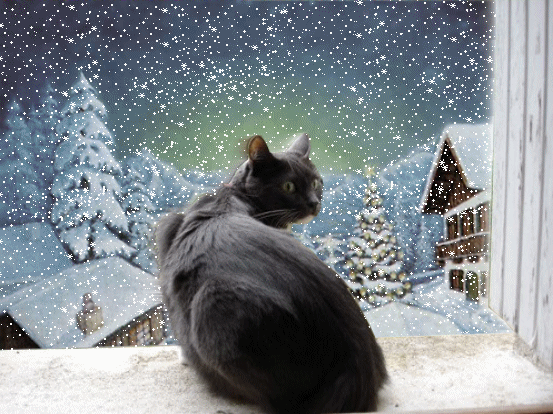 snow