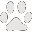paw